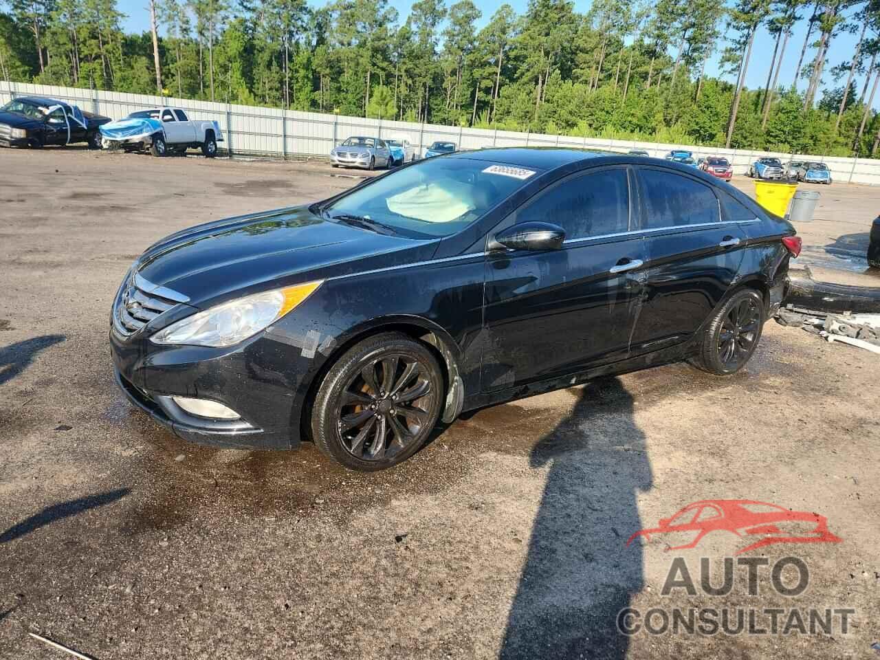 HYUNDAI SONATA 2013 - 5NPEC4AC0DH769622
