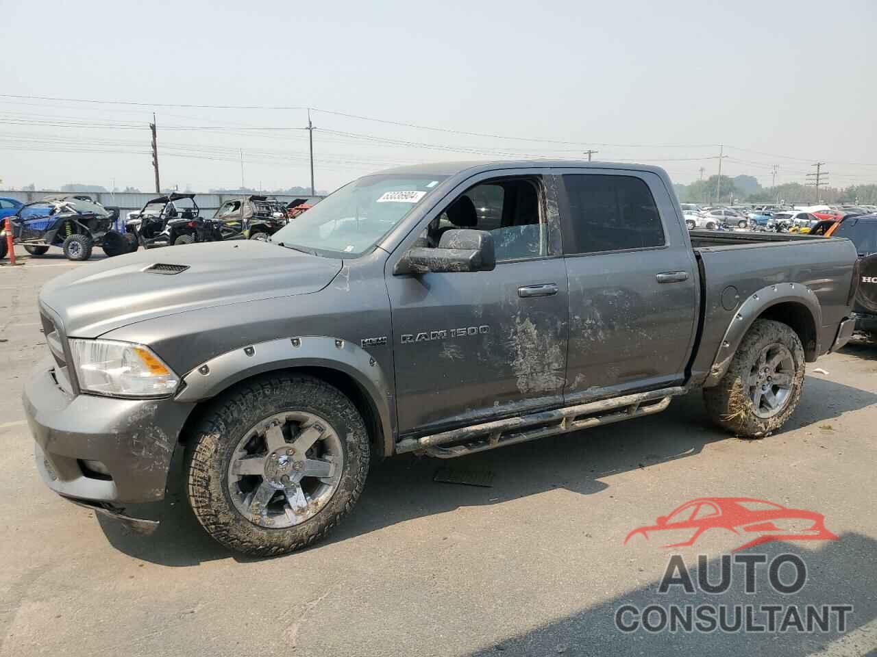 DODGE All Models 2011 - 1D7RV1CTXBS589673