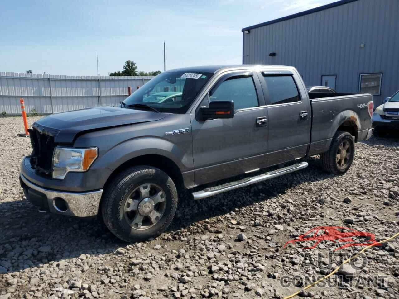 FORD F-150 2010 - 1FTFW1EV6AFD75232