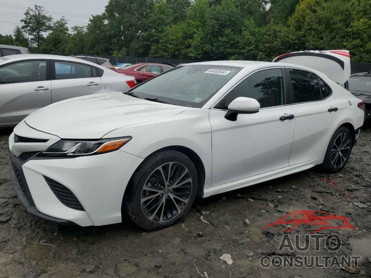TOYOTA CAMRY 2019 - 4T1B11HK0KU736123
