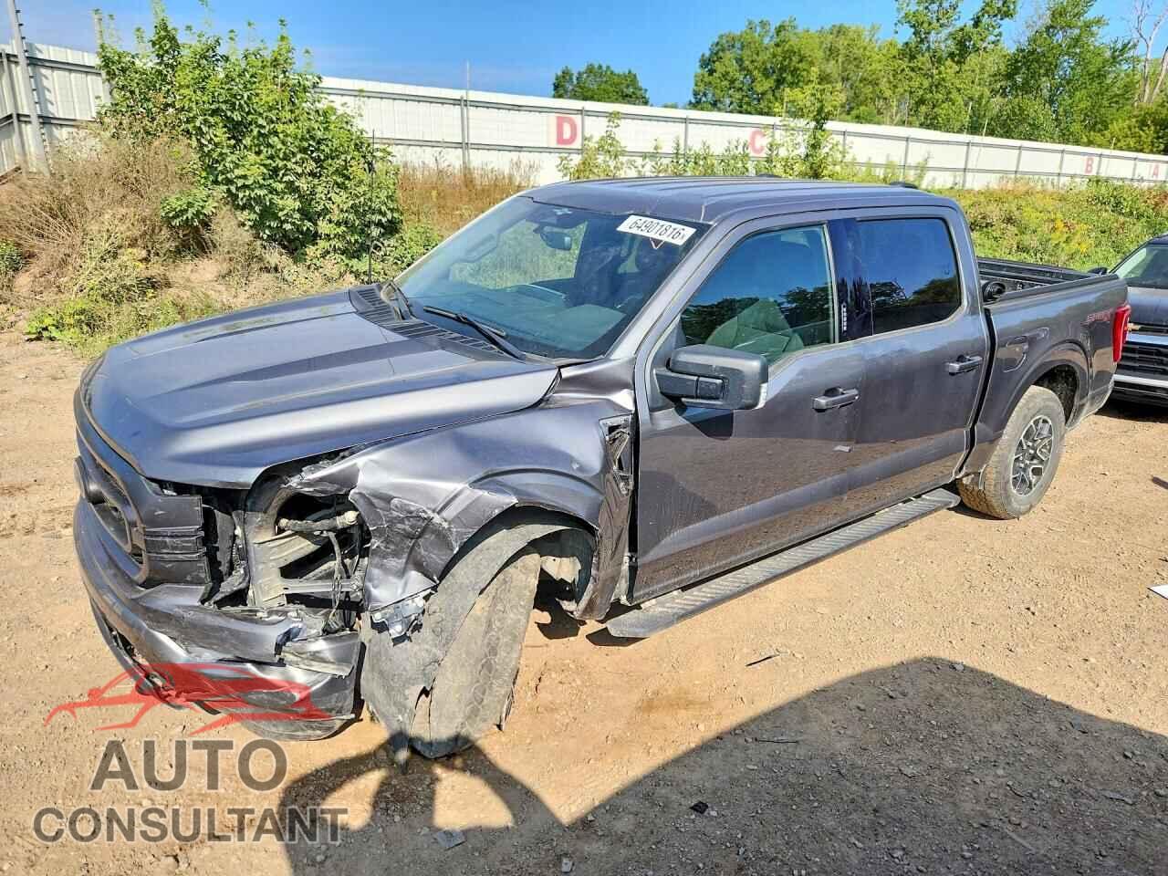 FORD F150 2023 - 1FTEW1EP6PKG02450
