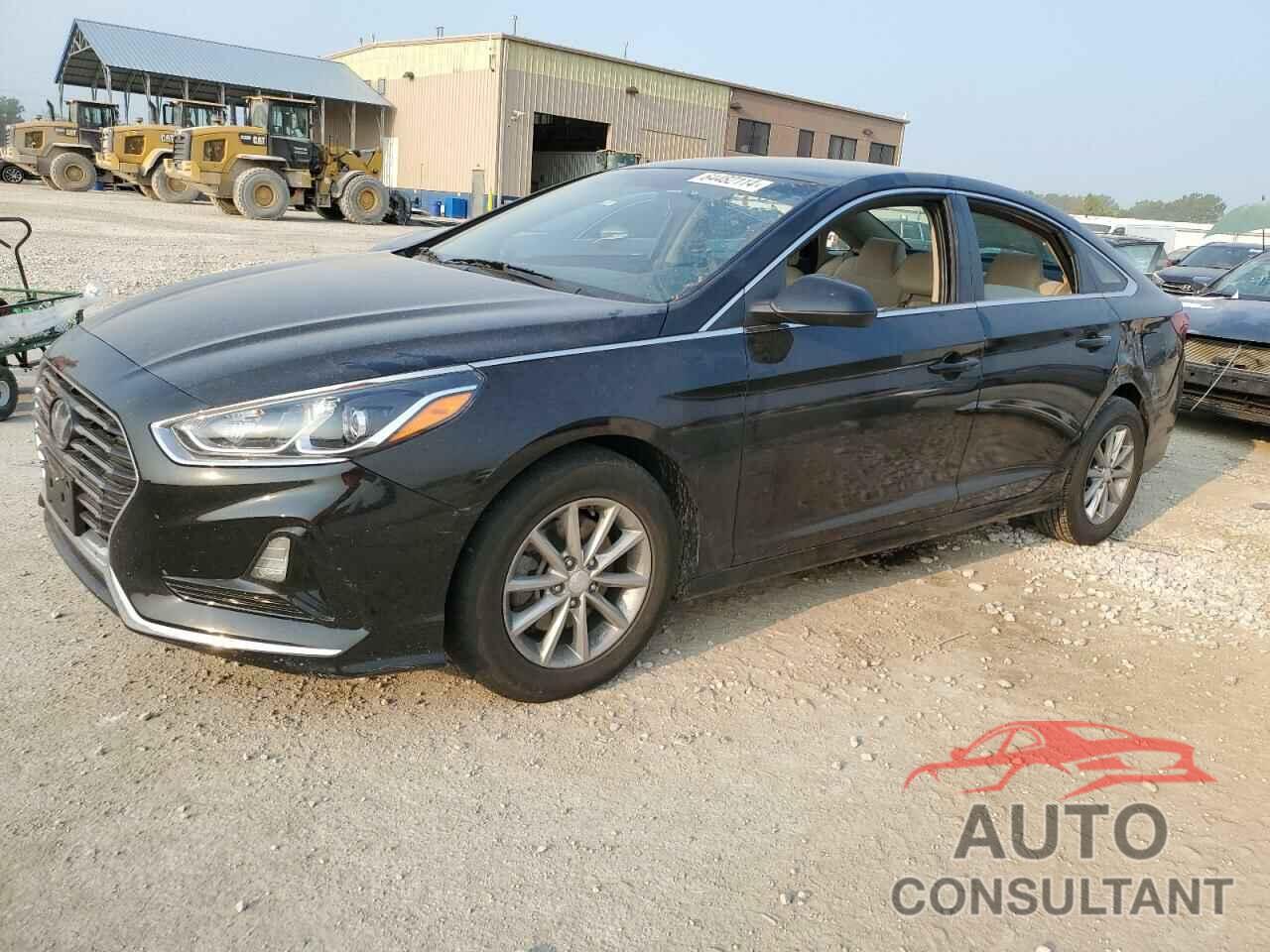 HYUNDAI SONATA 2019 - 5NPE24AF7KH792373