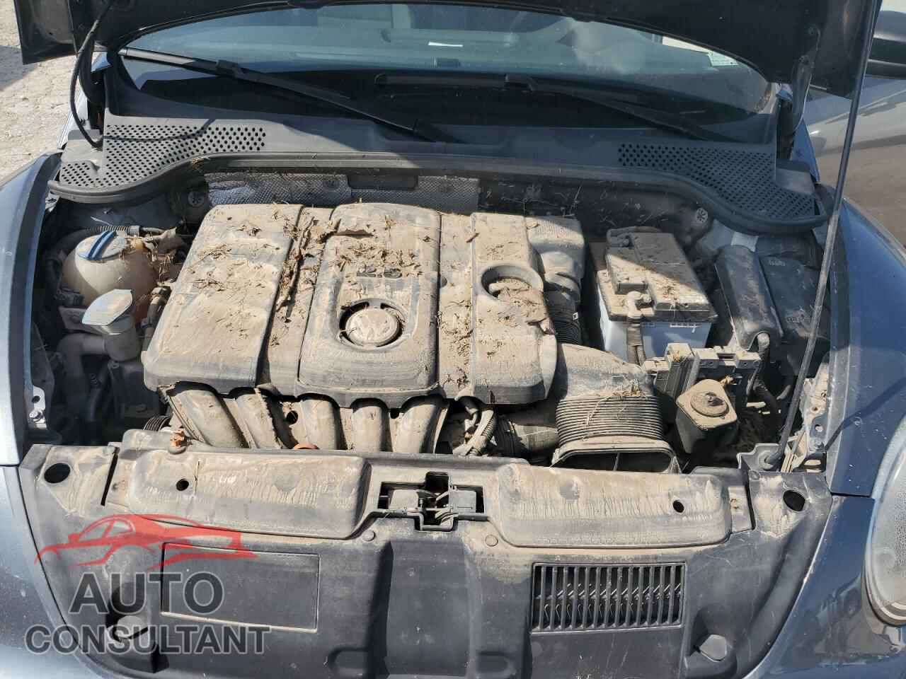VOLKSWAGEN BEETLE 2013 - 3VWFP7AT7DM644702