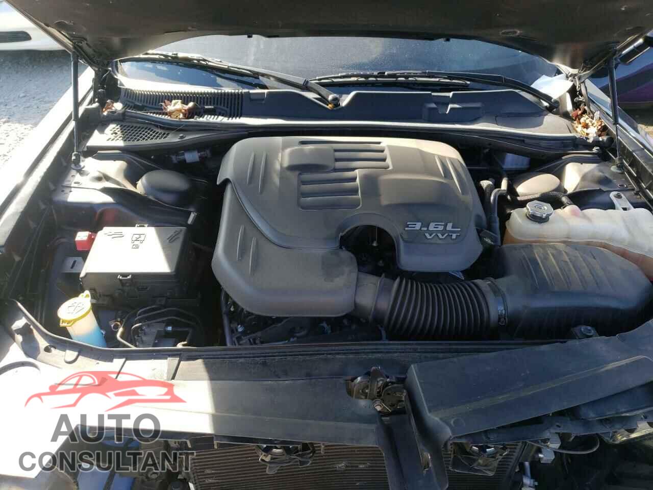 DODGE CHALLENGER 2019 - 2C3CDZAG2KH729492