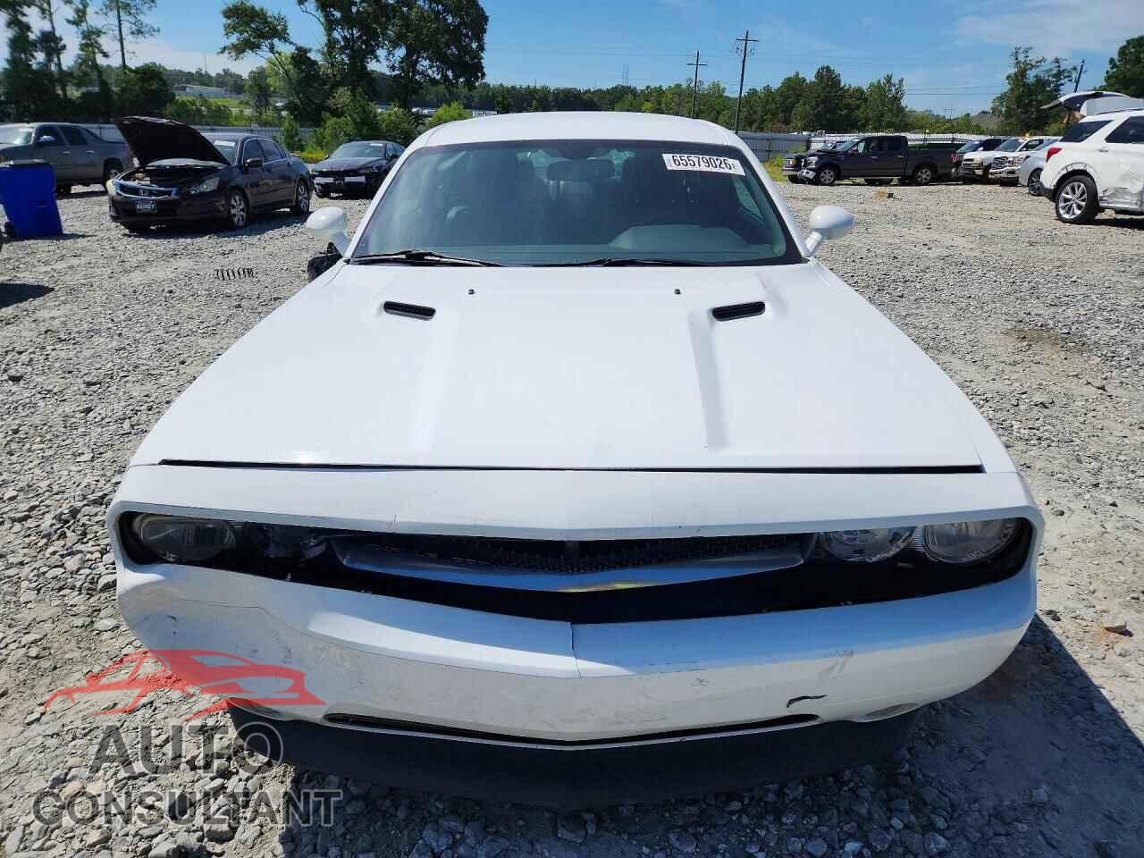 DODGE CHALLENGER 2013 - 2C3CDYAG4DH695178