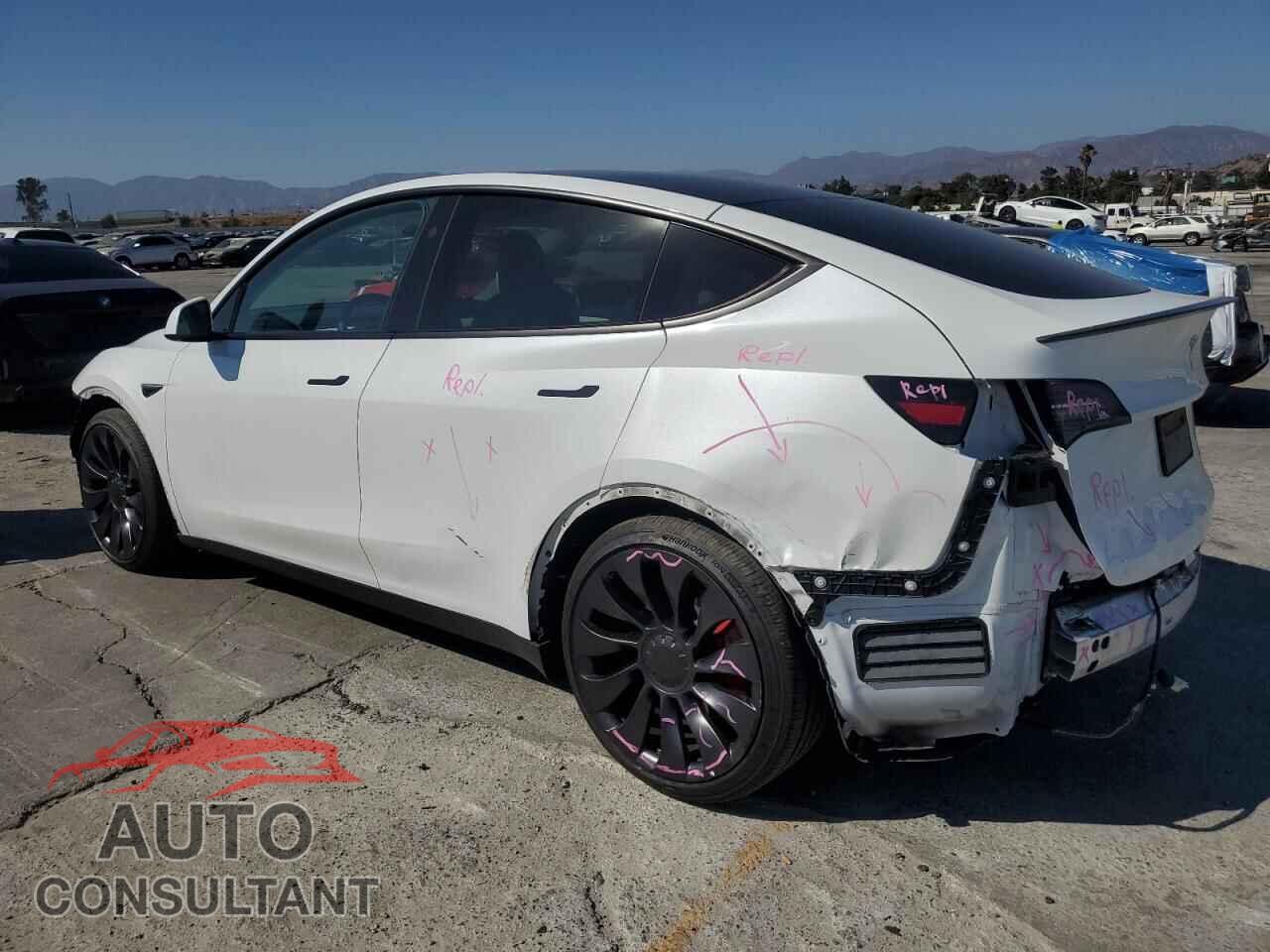 TESLA MODEL Y 2024 - 7SAYGDEF8RF131584