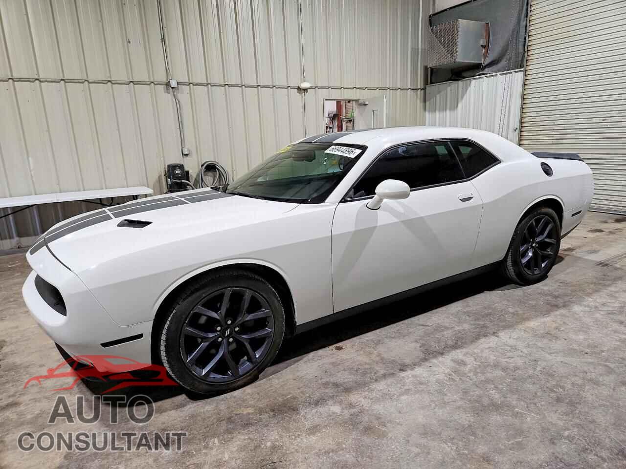 DODGE CHALLENGER 2019 - 2C3CDZAG6KH557435