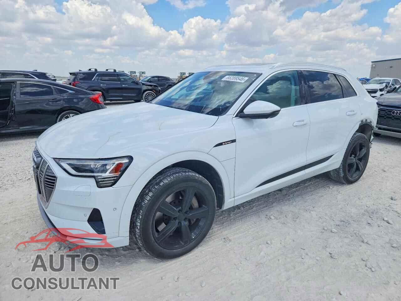 AUDI E-TRON 2019 - WA1LAAGE6KB023639