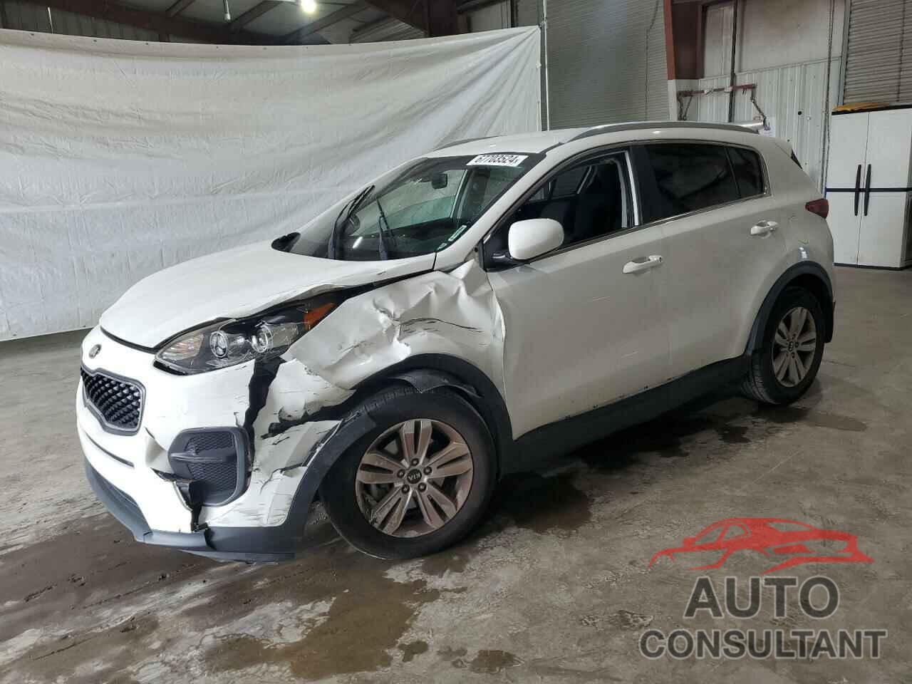 KIA SPORTAGE 2019 - KNDPM3AC3K7530583