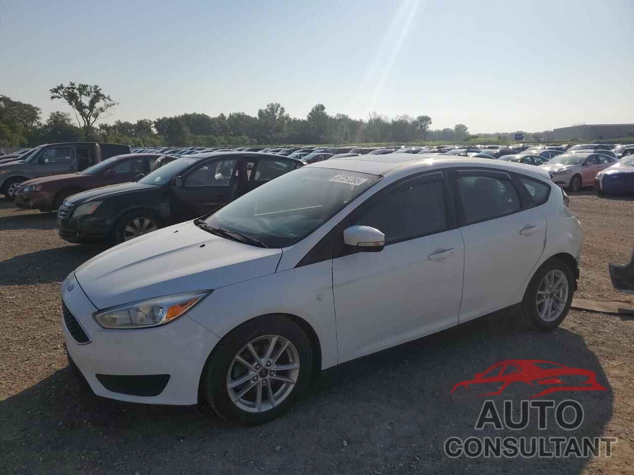 FORD FOCUS 2016 - 1FADP3K24GL235190