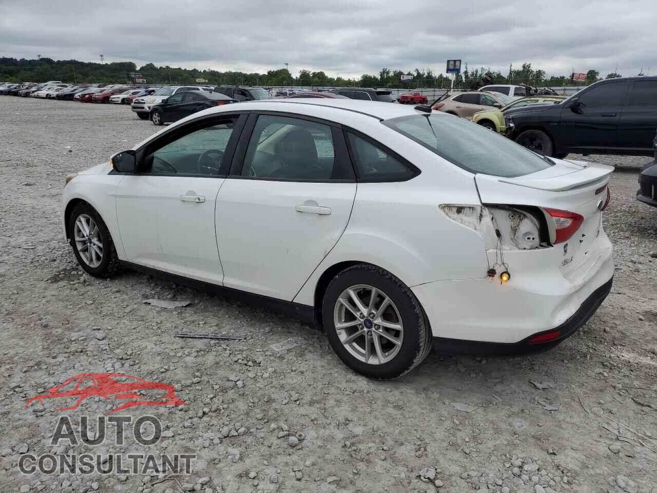 FORD FOCUS 2014 - 1FADP3F25EL137275