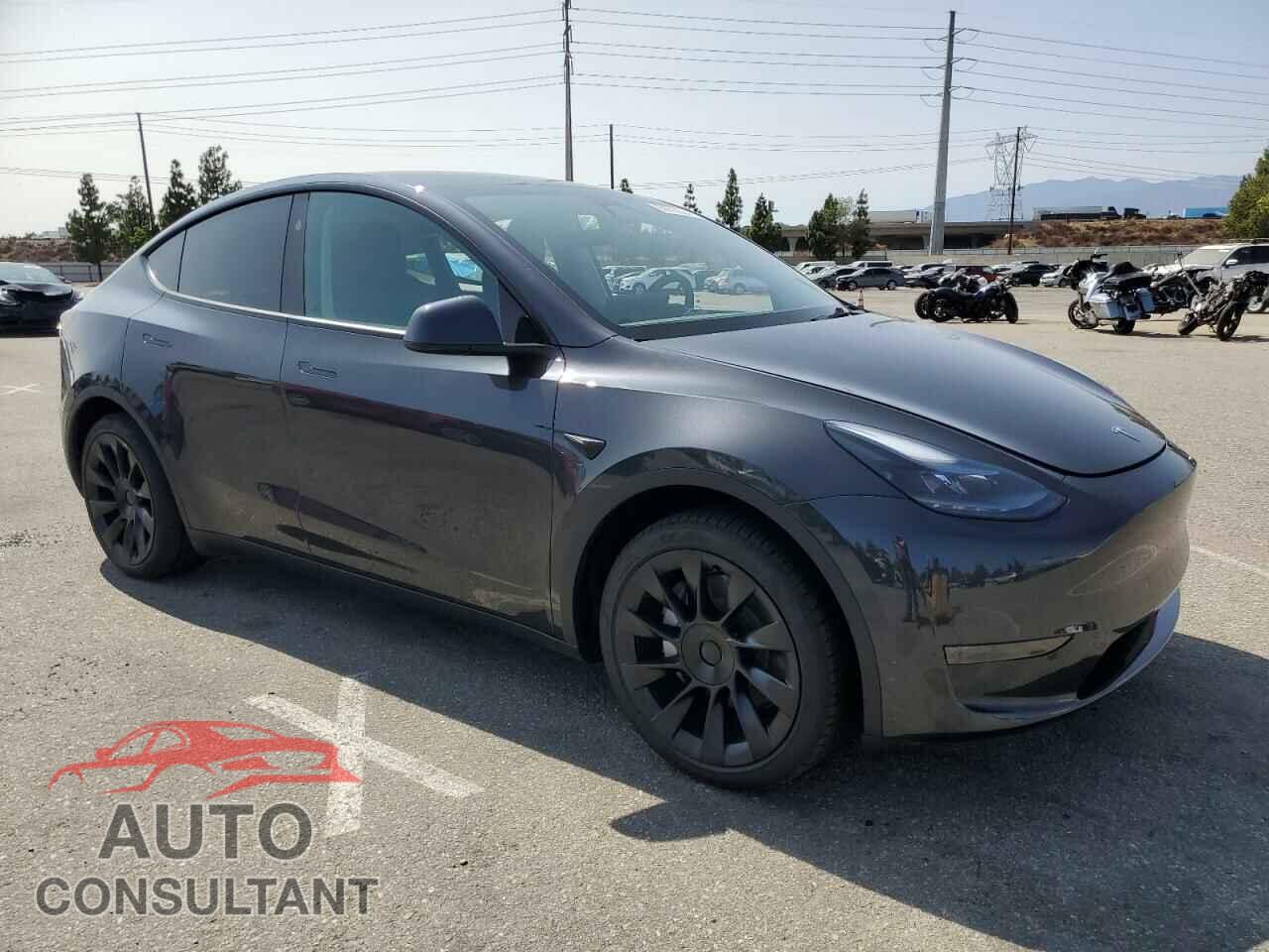 TESLA MODEL Y 2024 - 7SAYGDED0RF119721