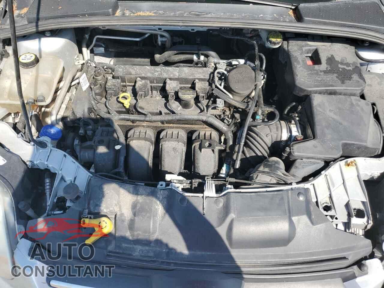 FORD FOCUS 2012 - 1FAHP3F2XCL265560