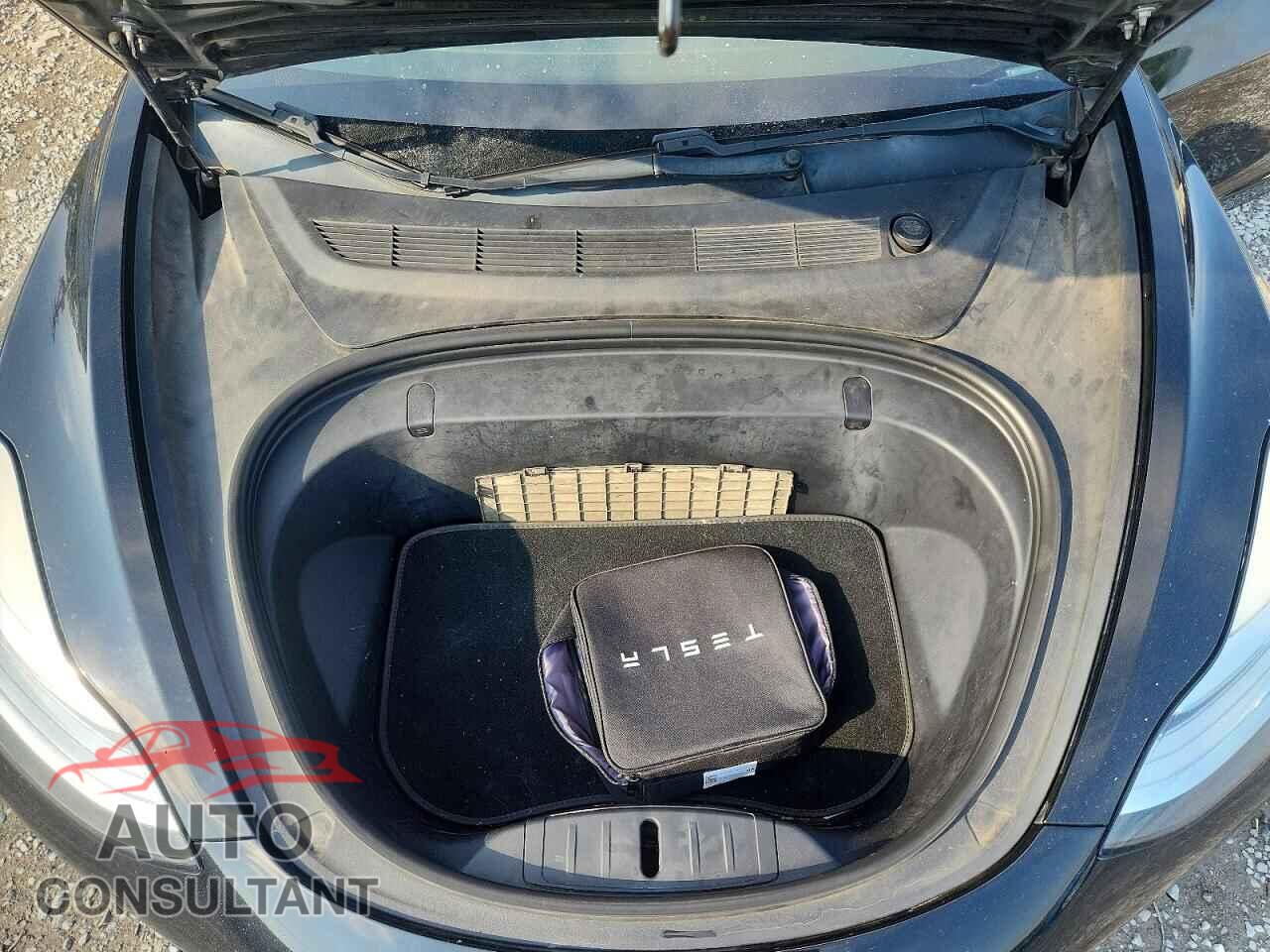TESLA MODEL 3 2019 - 5YJ3E1EA5KF325138