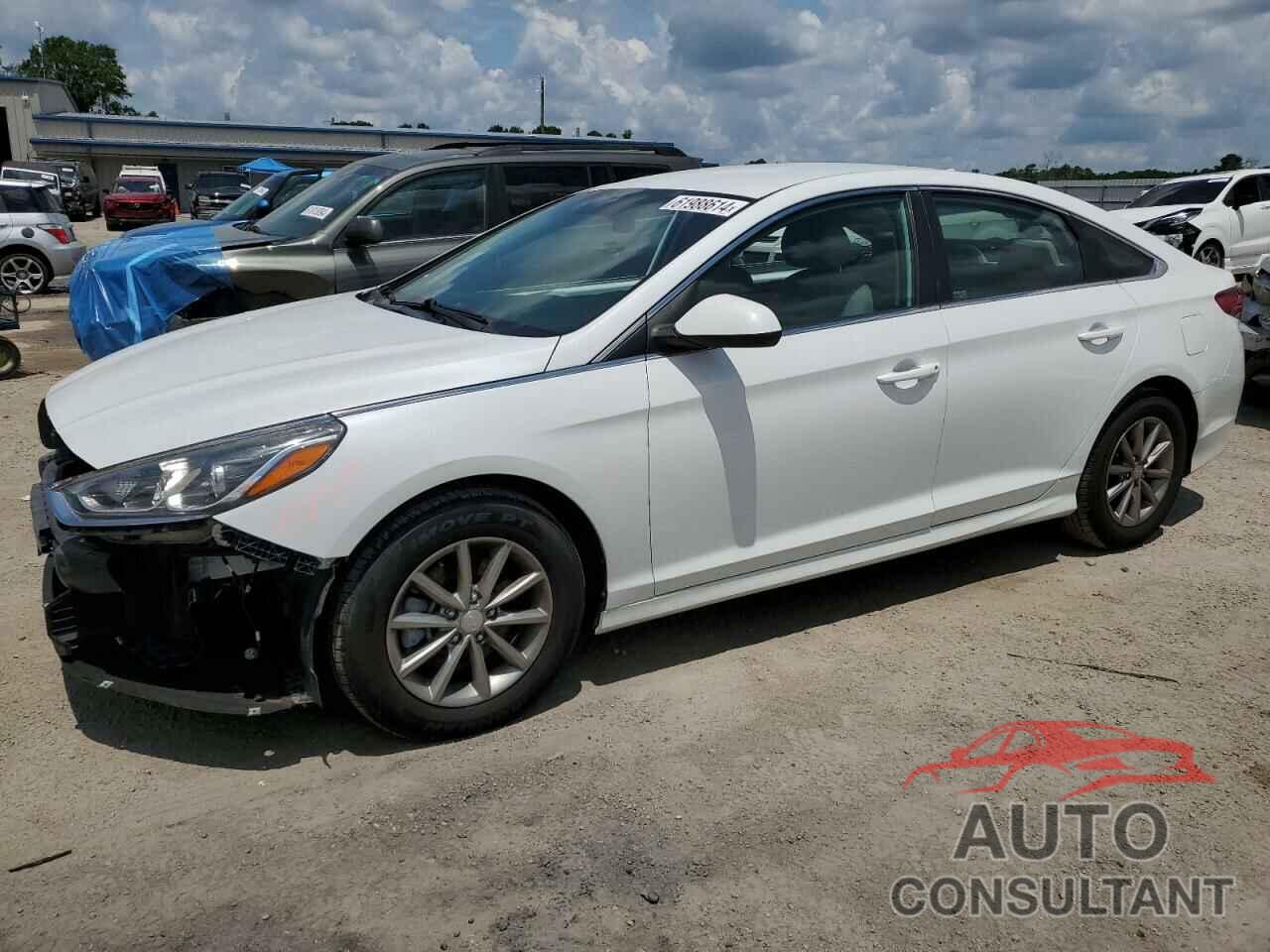 HYUNDAI SONATA 2019 - 5NPE24AF6KH786564