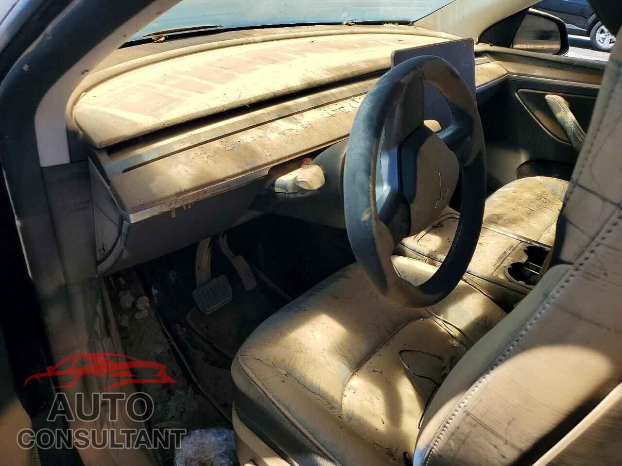 TESLA MODEL Y 2024 - 7SAYGDED2RF166149