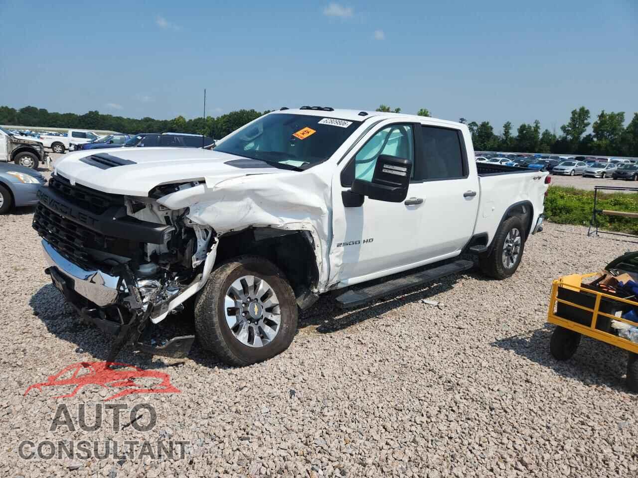 CHEVROLET SILVERADO 2020 - 1GC1YLE73LF103189