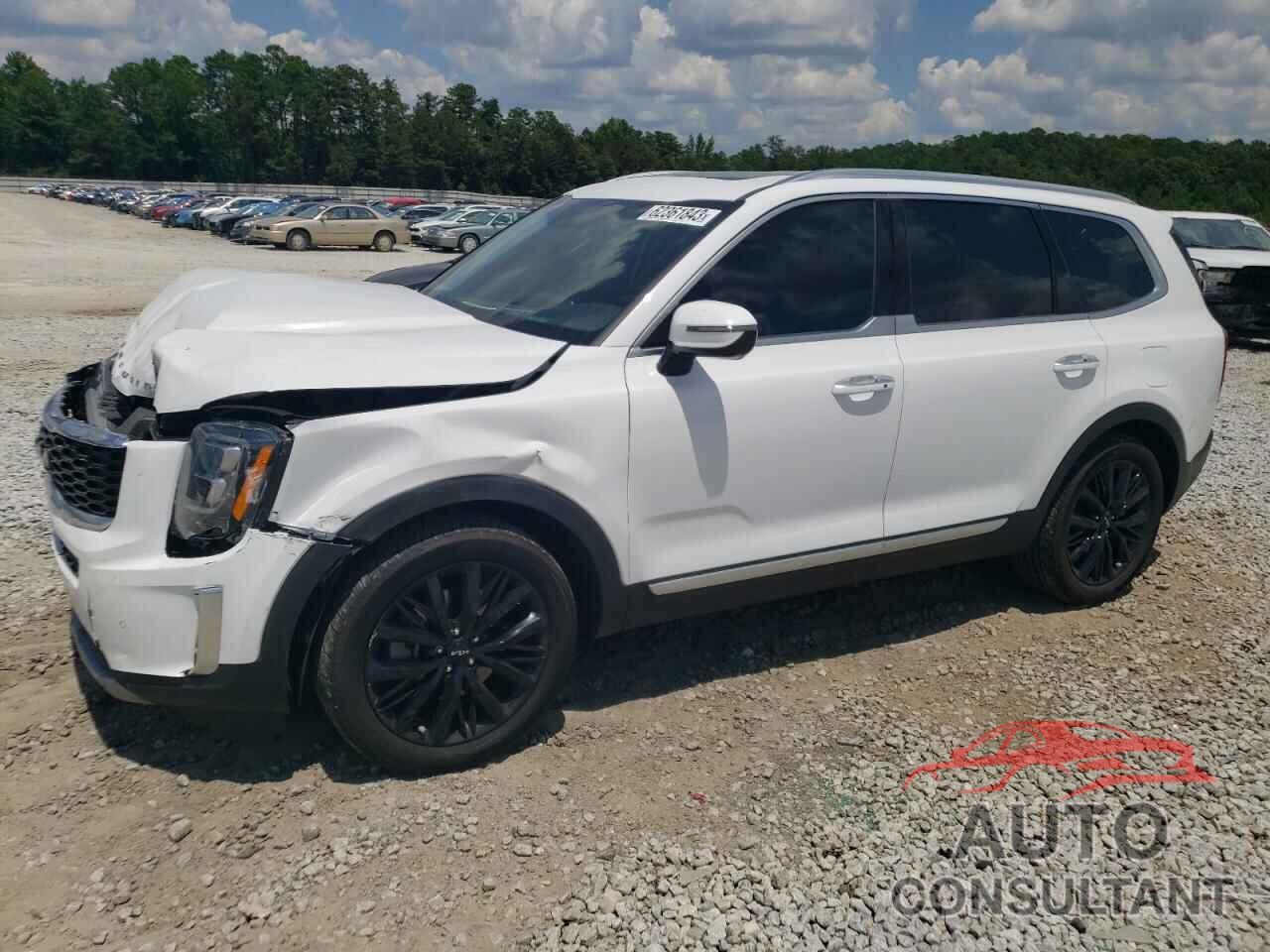 KIA TELLURIDE 2022 - 5XYP5DHC2NG227360