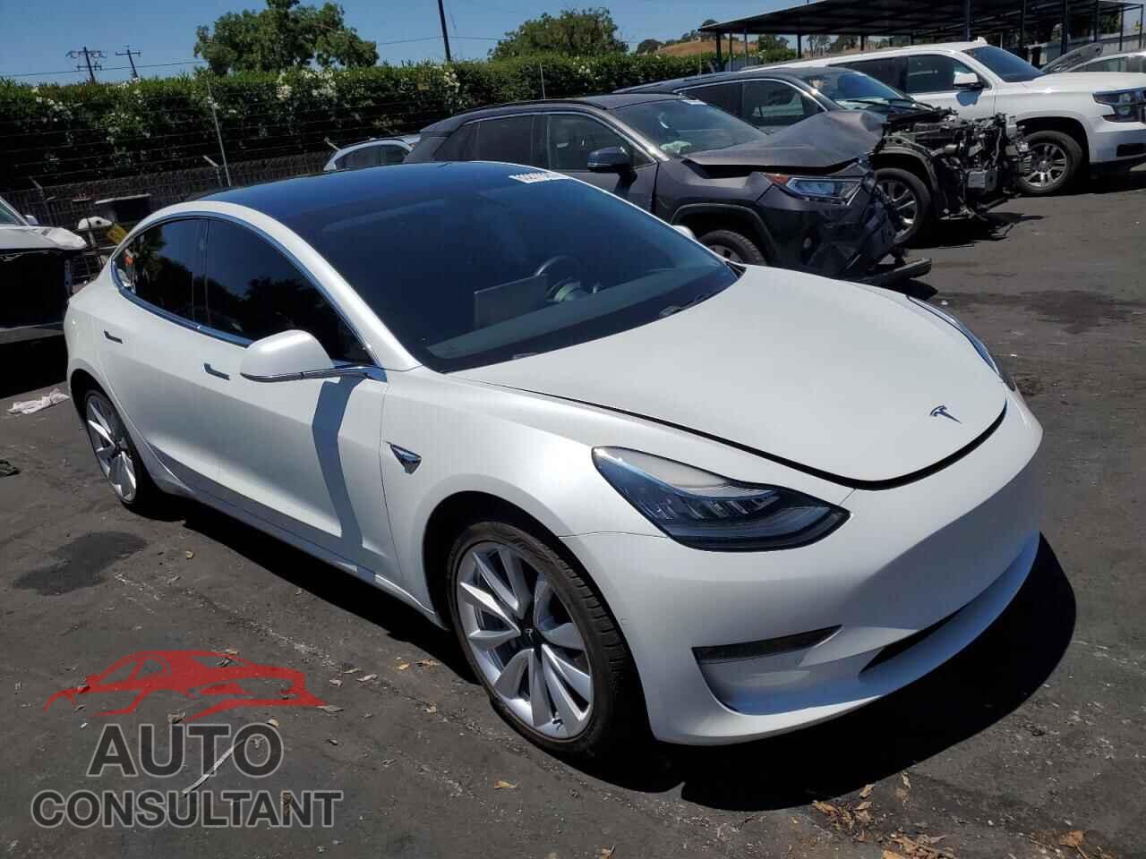 TESLA MODEL 3 2019 - 5YJ3E1EA3KF412942