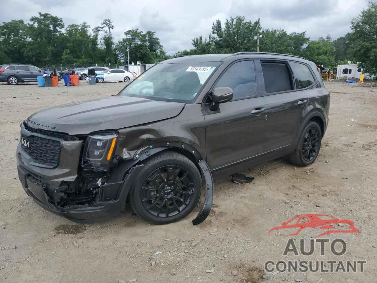 KIA TELLURIDE 2022 - 5XYP5DHC0NG263693