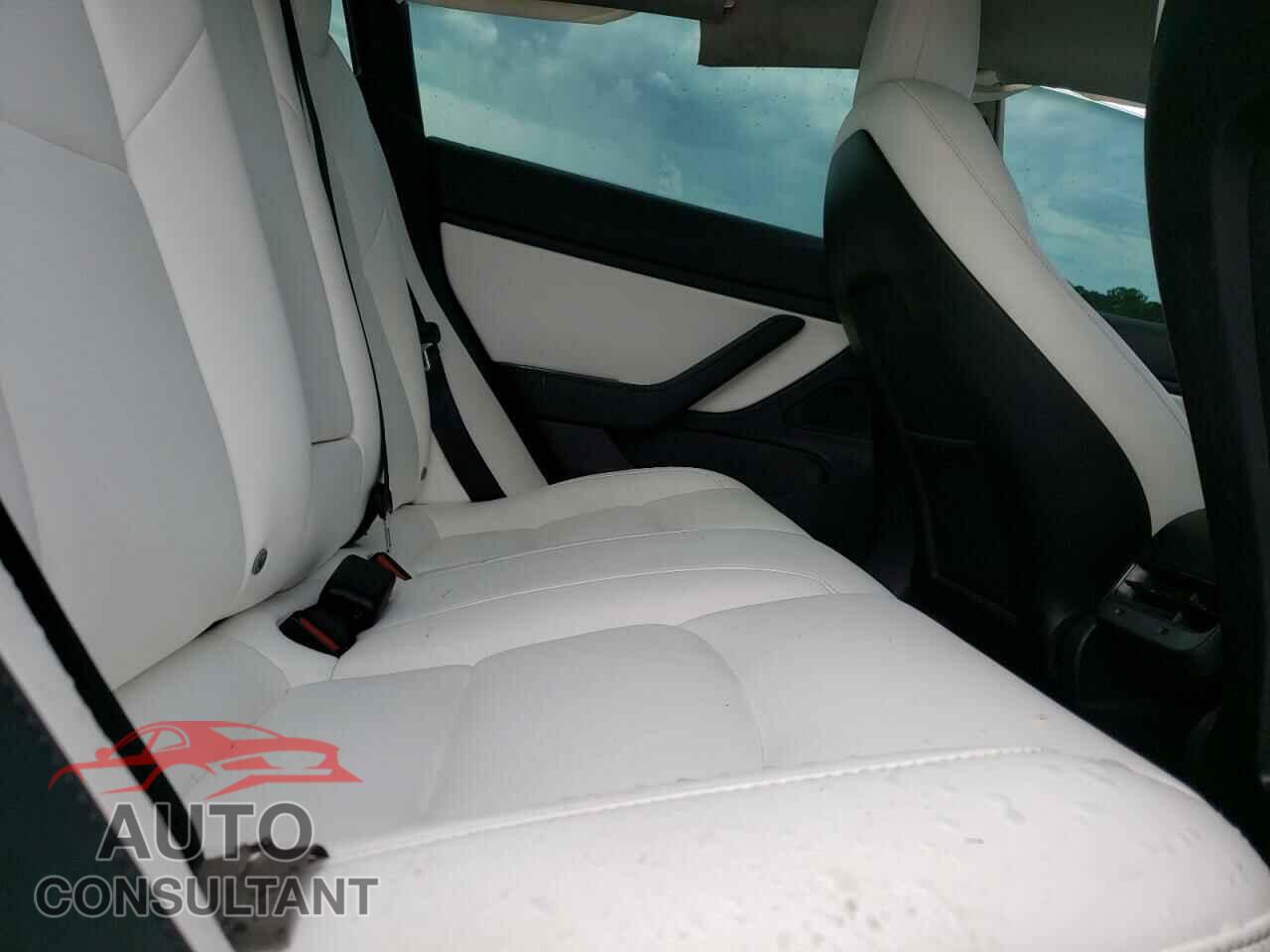 TESLA MODEL 3 2019 - 5YJ3E1EA6KF314987