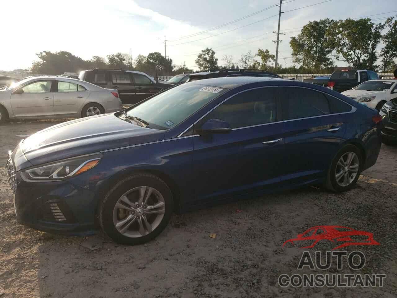 HYUNDAI SONATA 2019 - 5NPE34AF7KH772556