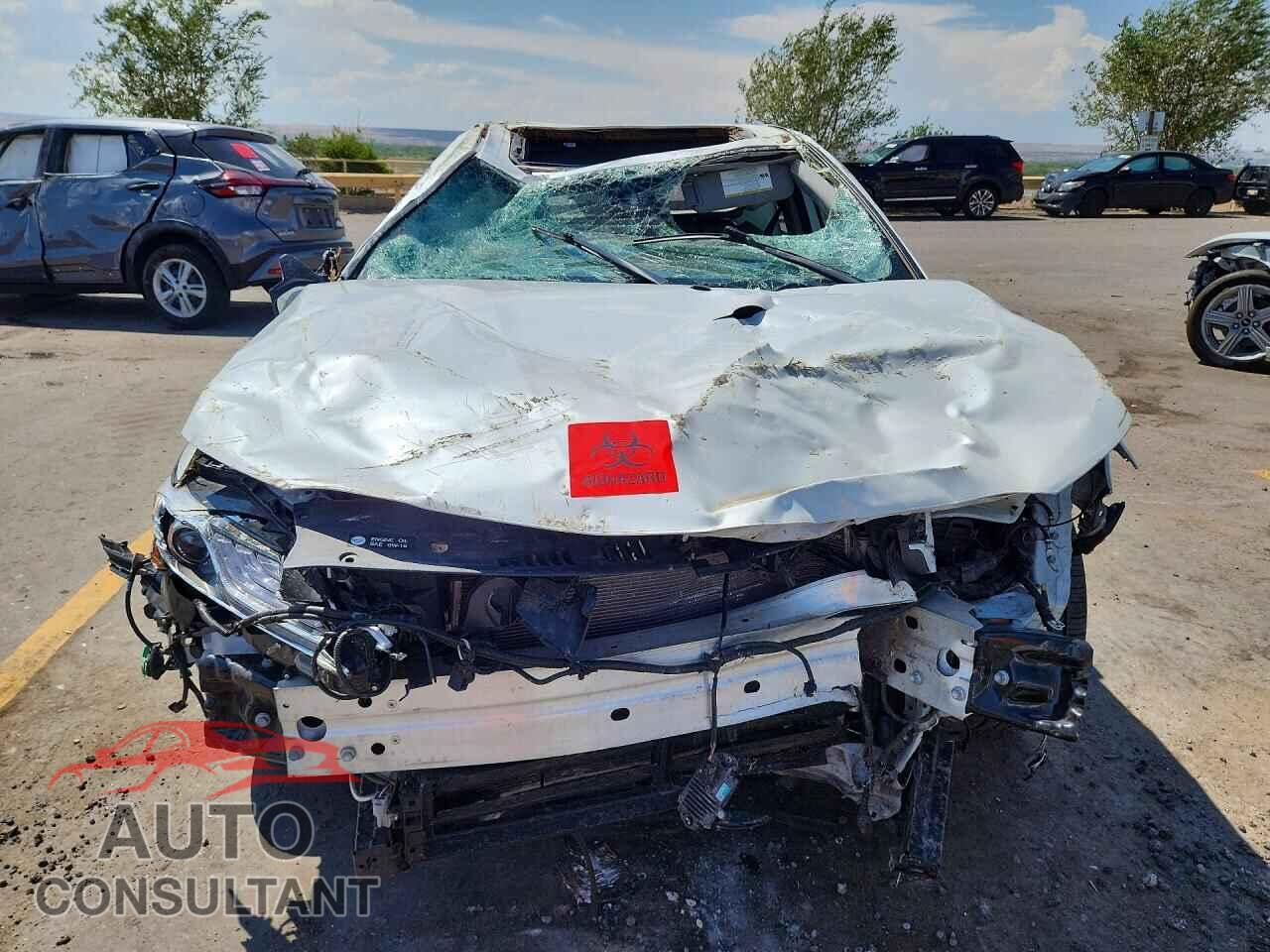 TOYOTA CAMRY 2024 - 4T1F31AK2RU628800