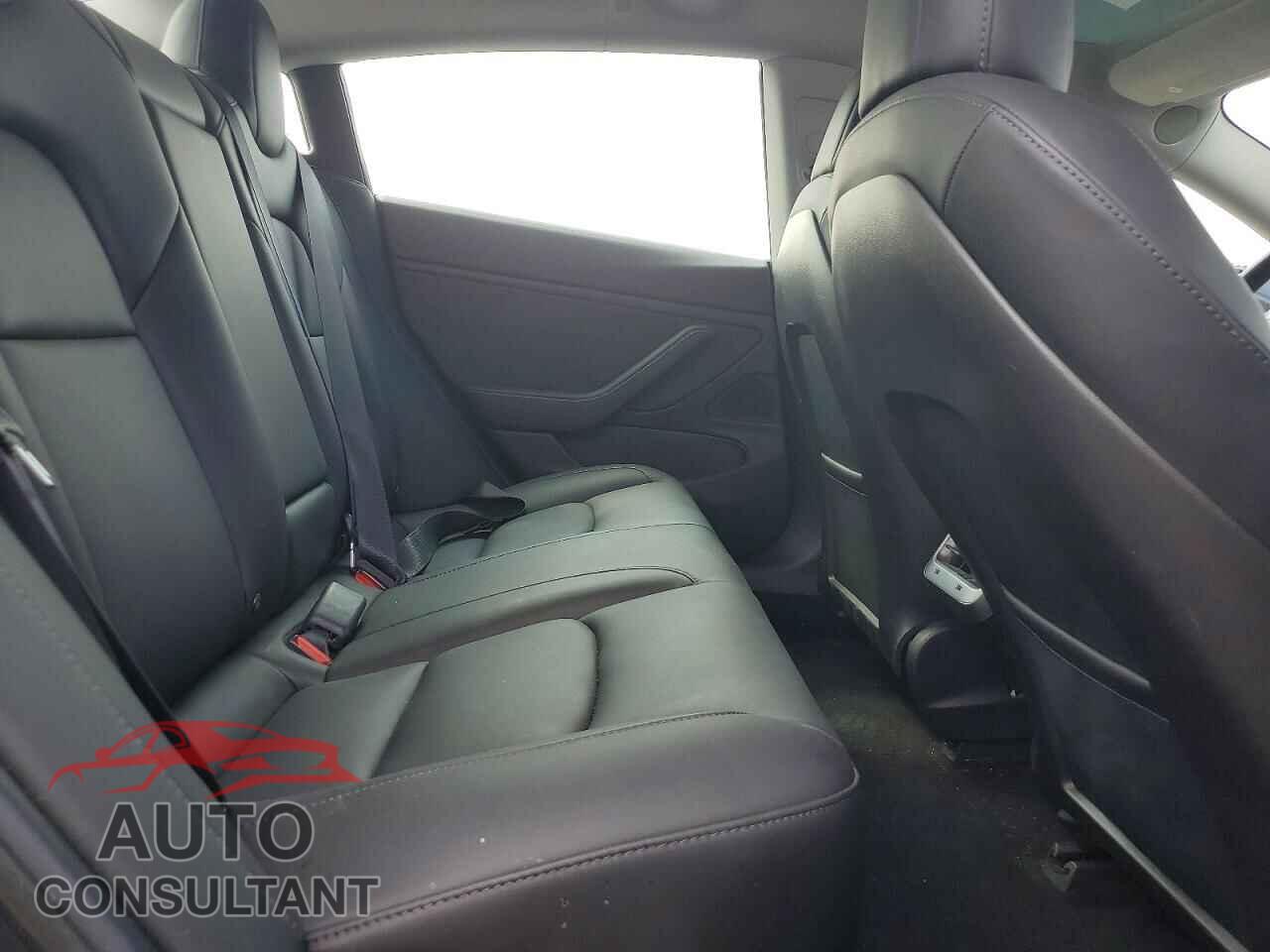 TESLA MODEL 3 2019 - 5YJ3E1EB3KF205704