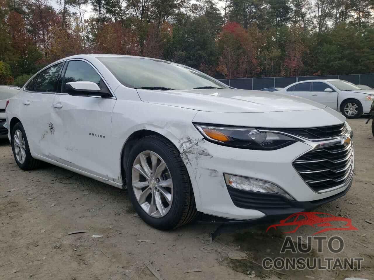CHEVROLET MALIBU 2019 - 1G1ZD5ST6KF124010