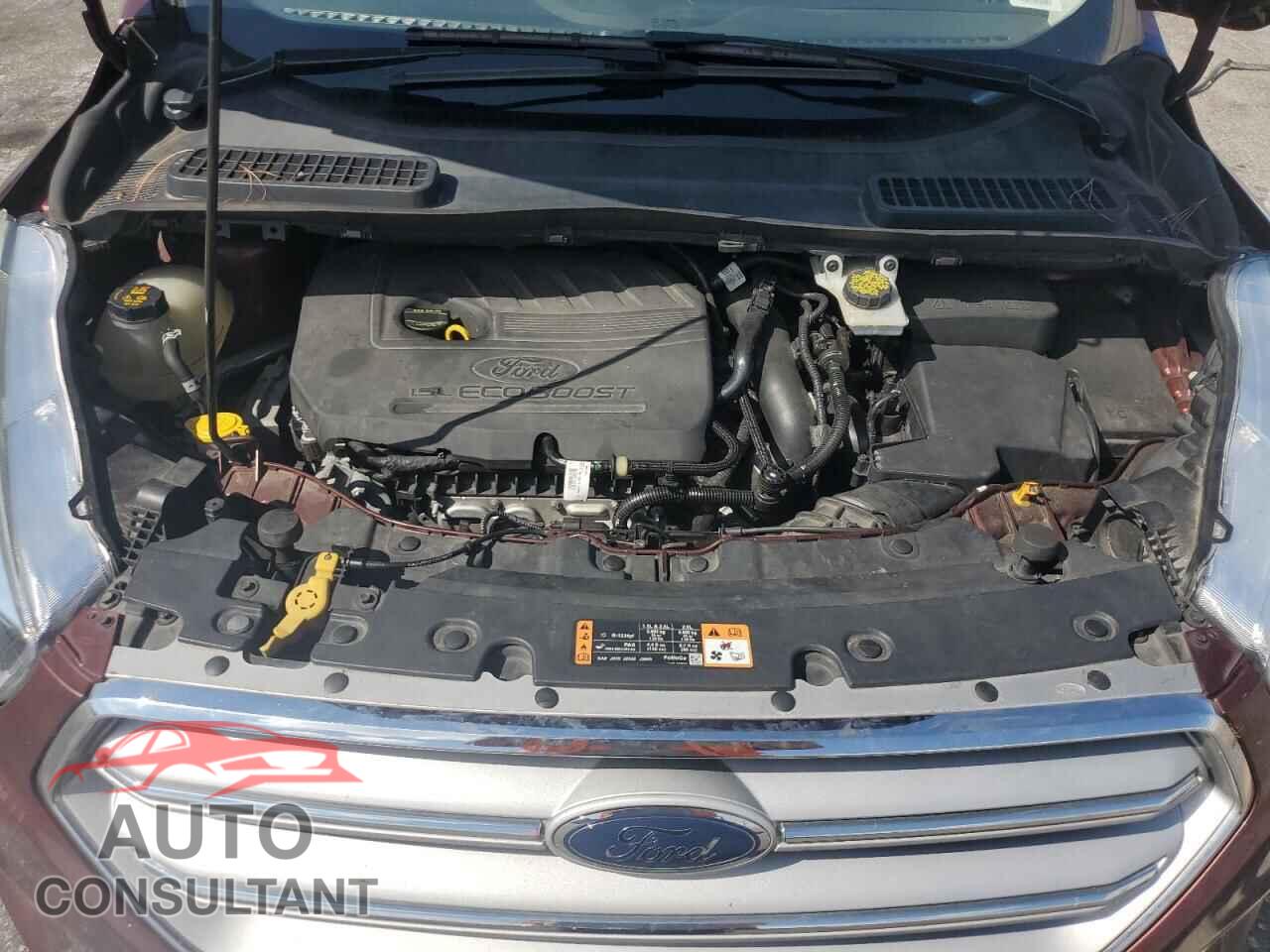 FORD ESCAPE 2018 - 1FMCU0GD0JUB51307