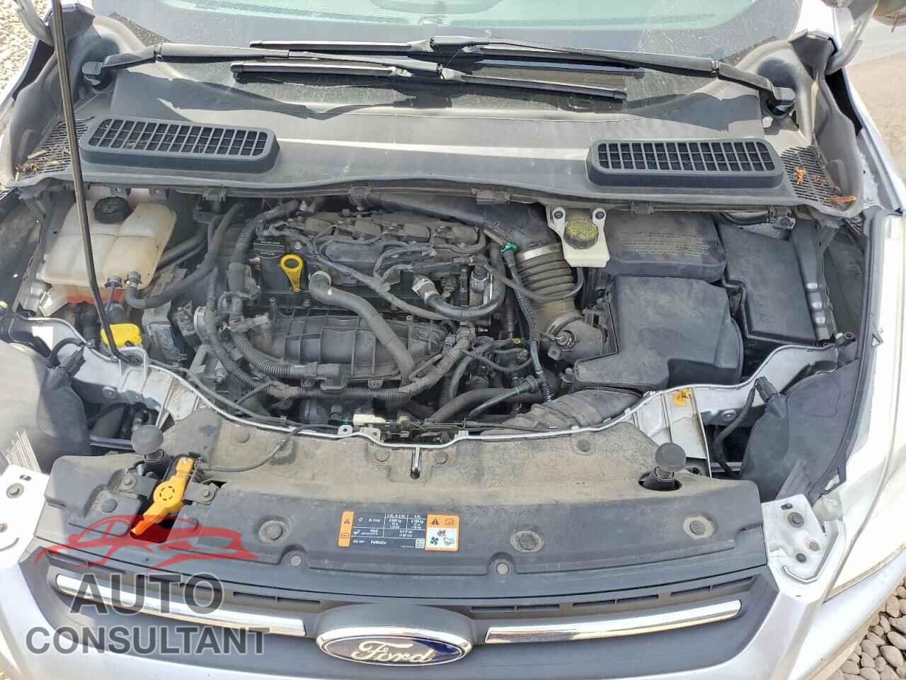 FORD ESCAPE 2014 - 1FMCU0GX4EUE35149