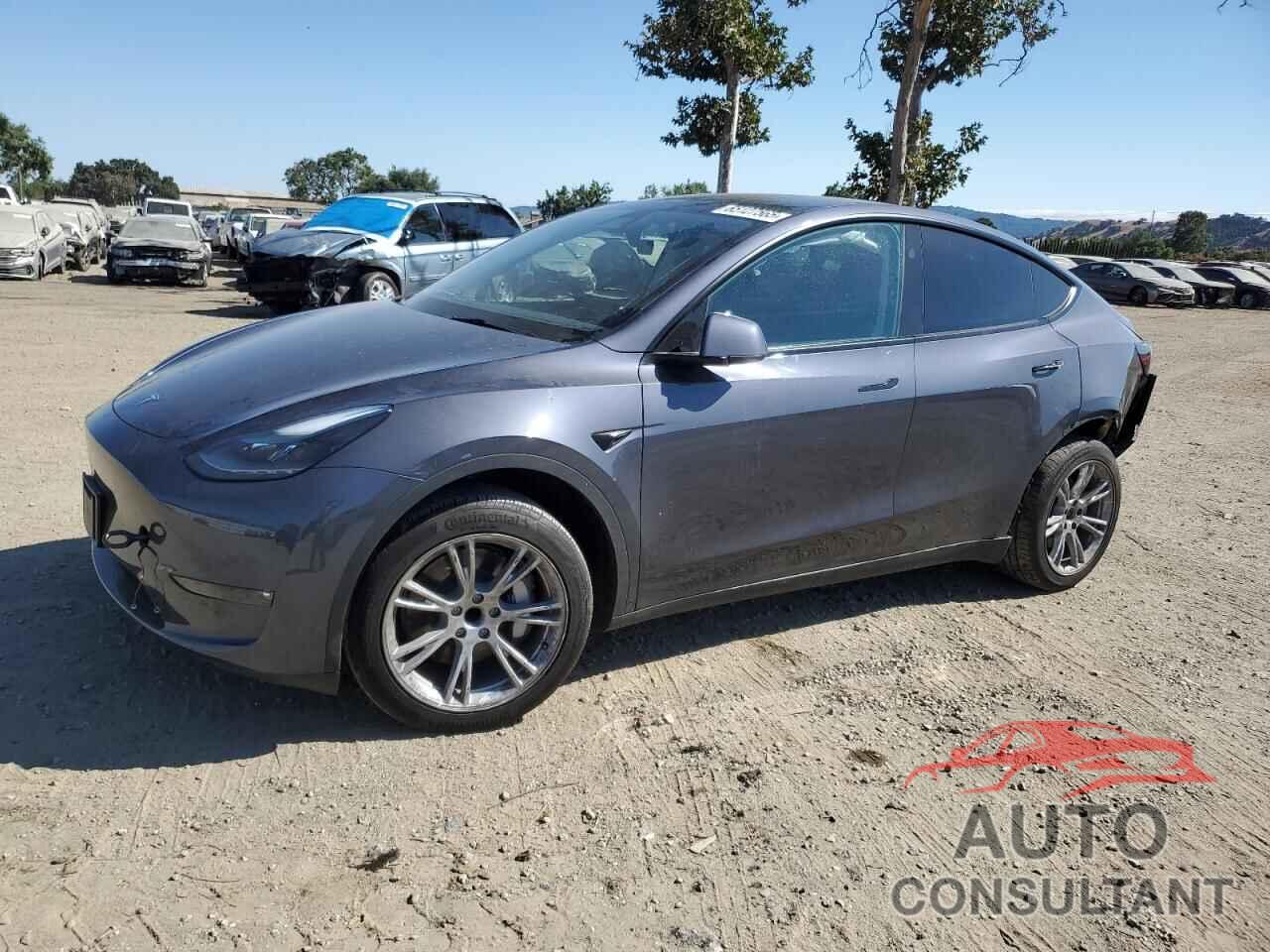 TESLA MODEL Y 2023 - 7SAYGDED4PF979022