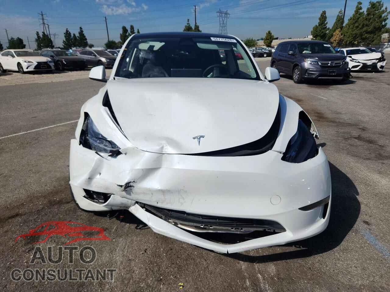 TESLA MODEL Y 2024 - 7SAYGAEE5RF059930