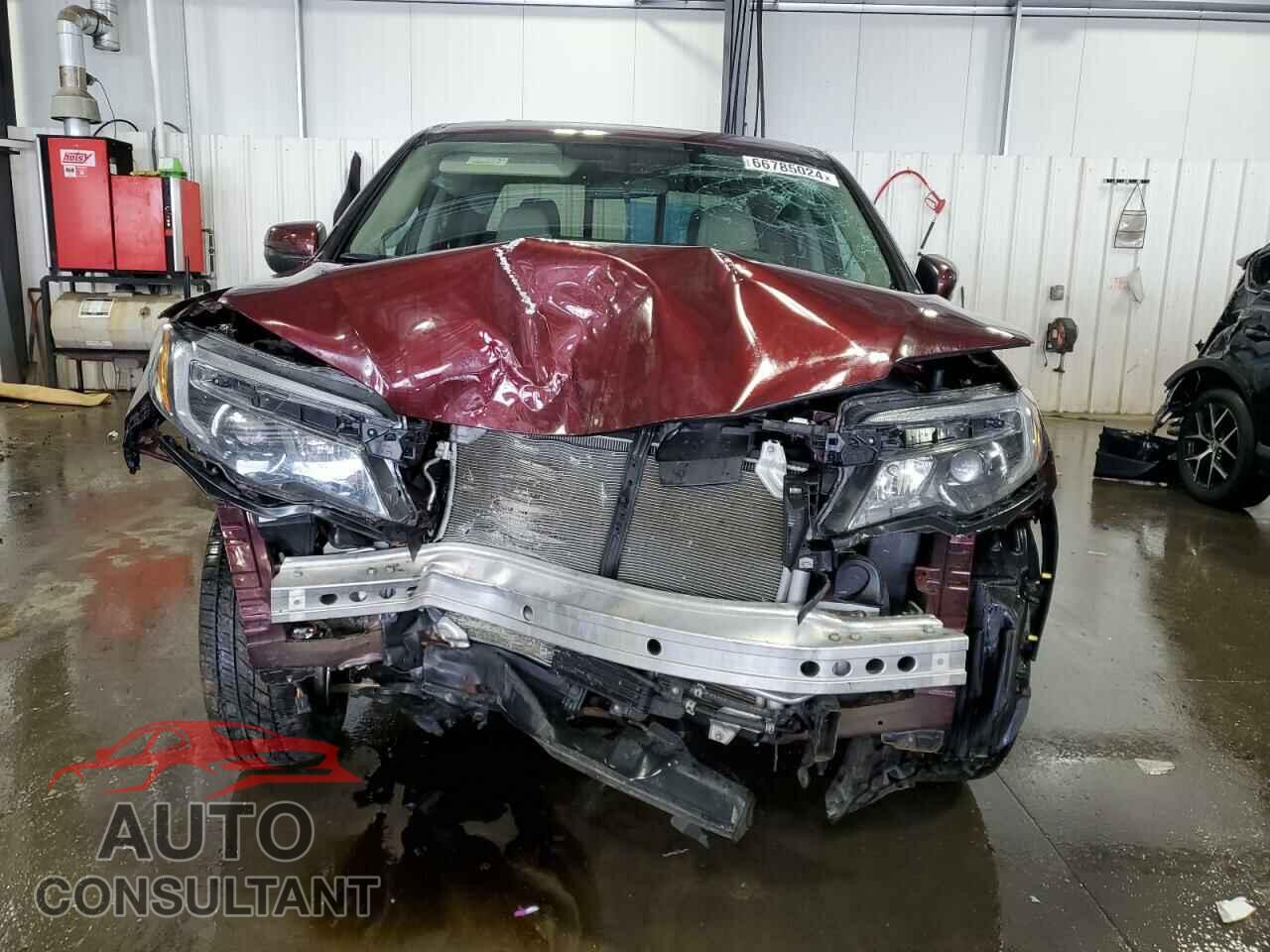 HONDA RIDGELINE 2019 - 5FPYK3F50KB047039