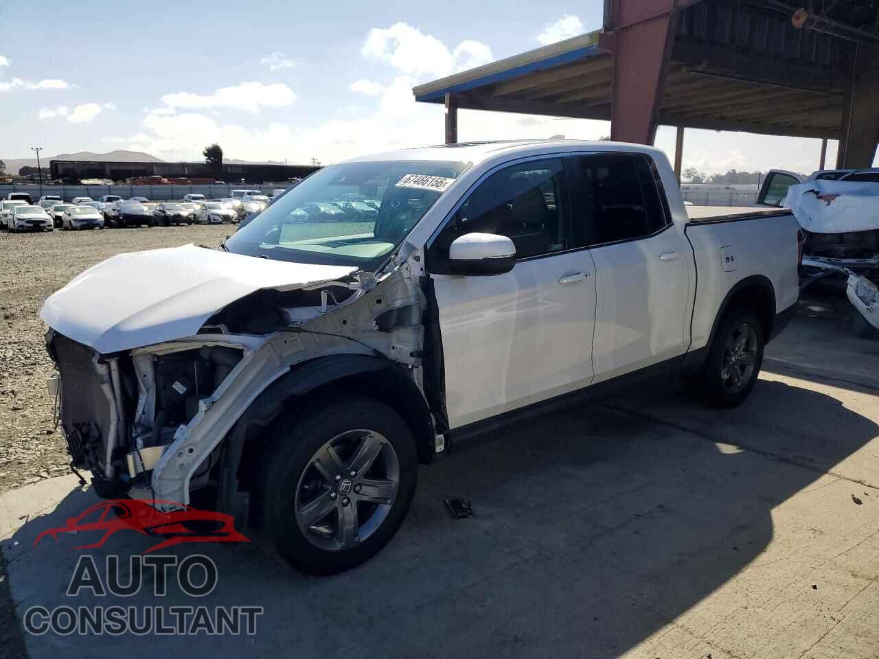 HONDA RIDGELINE 2023 - 5FPYK3F55PB041163