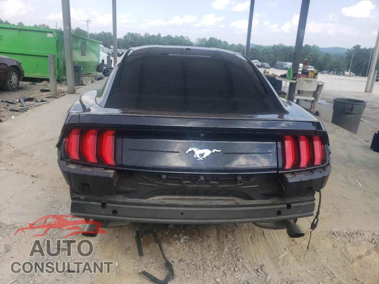 FORD ALL Models 2019 - 1FA6P8TH3K5132199