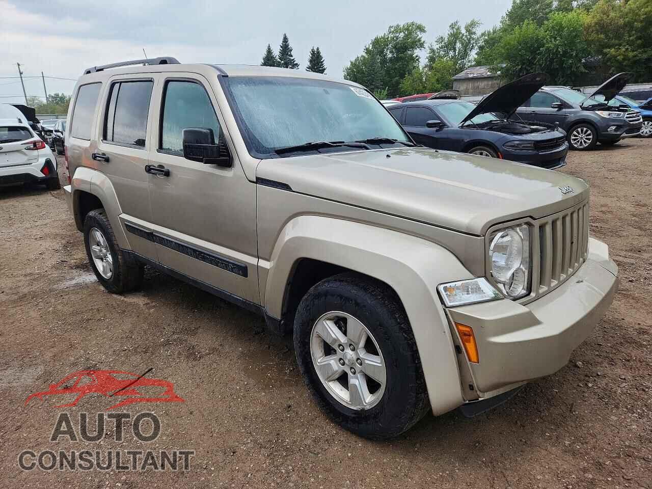 JEEP LIBERTY 2011 - 1J4PN2GK9BW502406