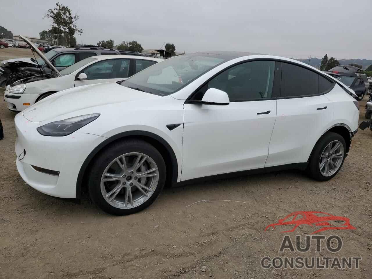 TESLA MODEL Y 2022 - 7SAYGDEE6NF522167