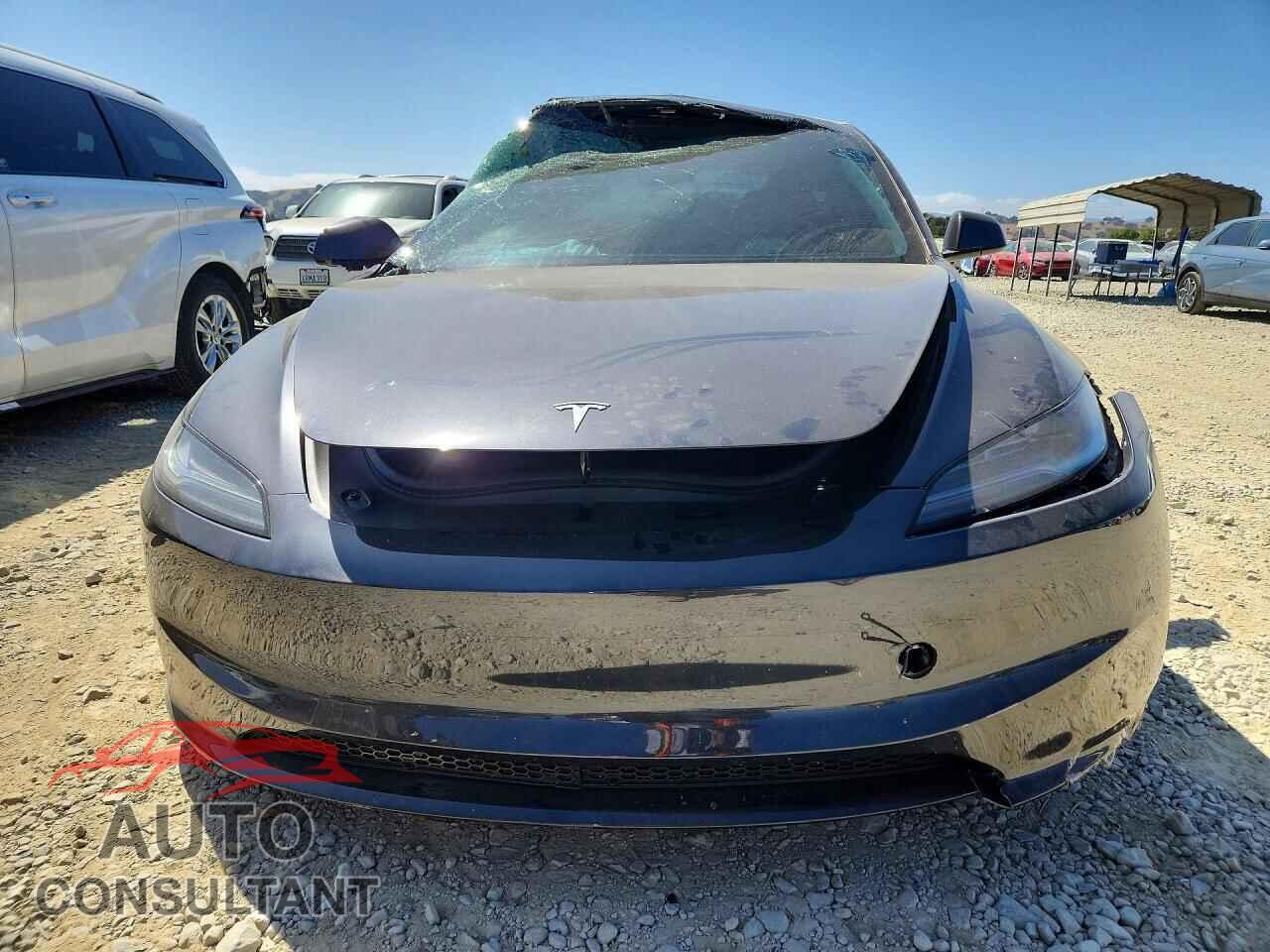 TESLA MODEL 3 2025 - 5YJ3E1EA7SF917074