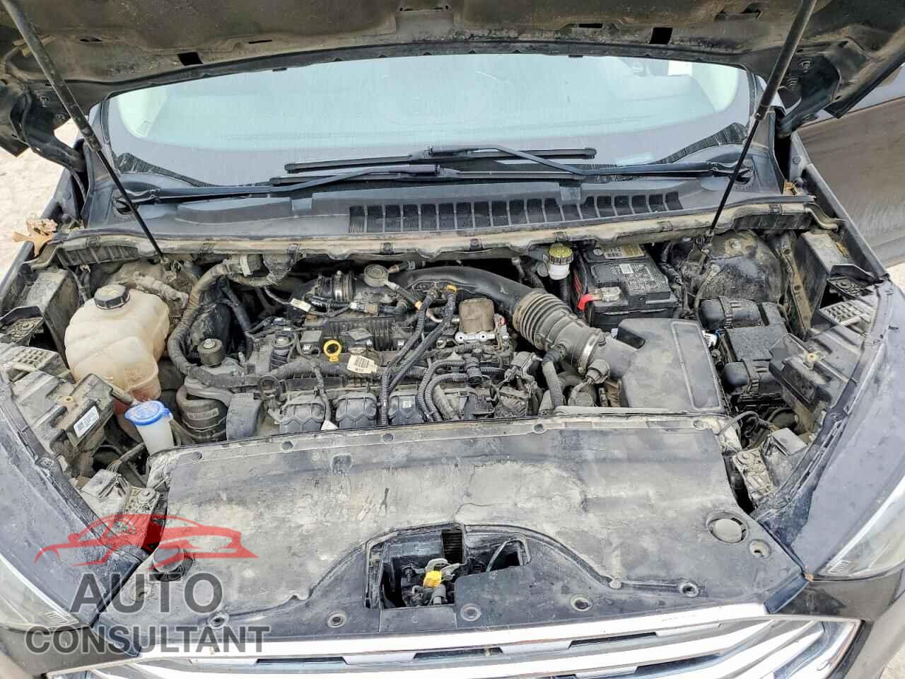 FORD EDGE 2019 - 2FMPK3K96KBB53596