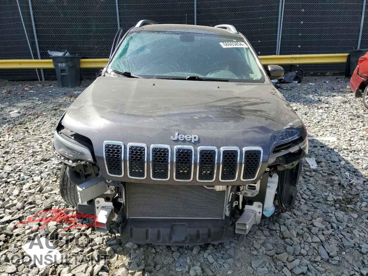 JEEP GRAND CHER 2019 - 1C4PJMLX4KD219325