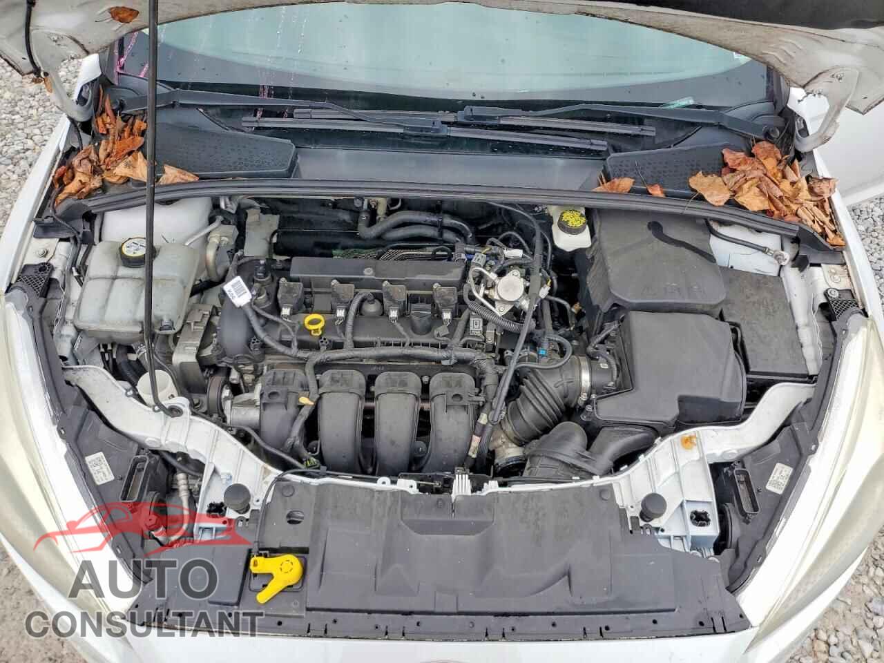 FORD FOCUS 2017 - 1FADP3K25HL322341