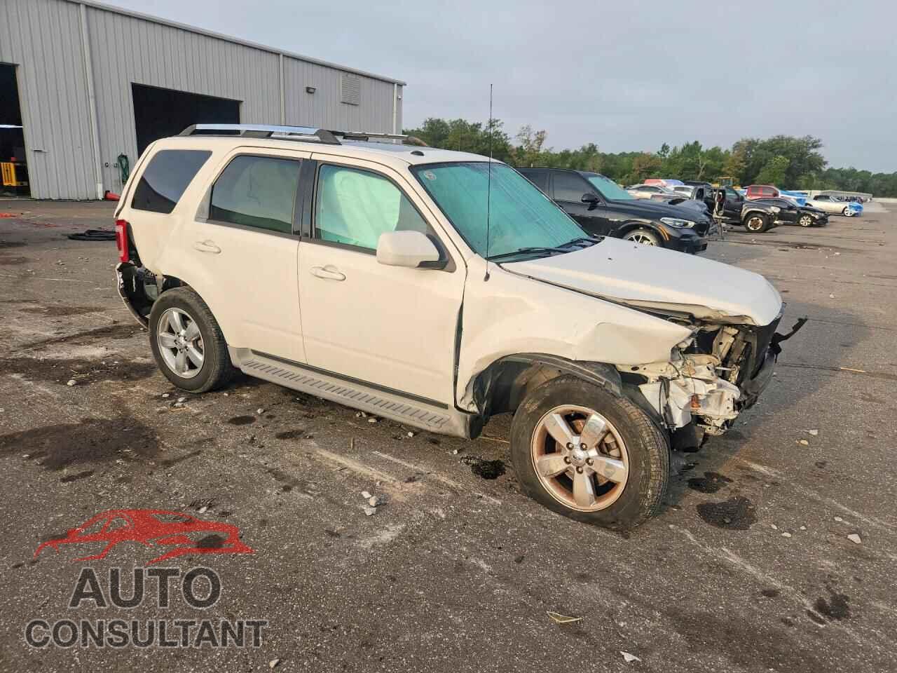 FORD ESCAPE 2011 - 1FMCU0EG2BKA53101