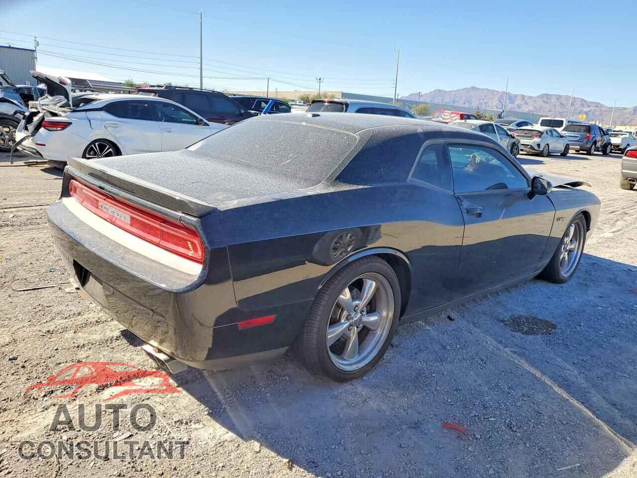 DODGE CHALLENGER 2013 - 2C3CDYBT9DH635859