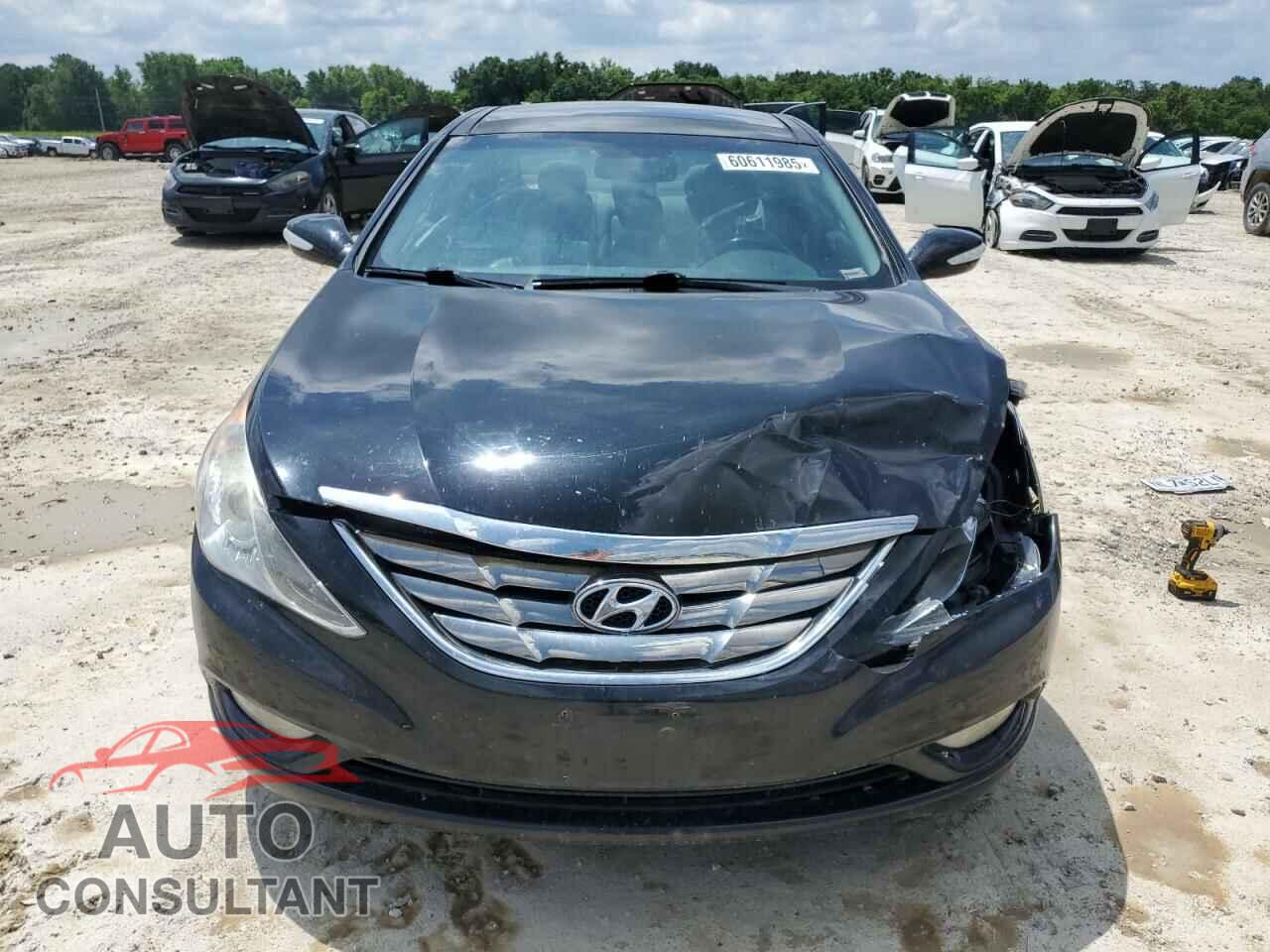 HYUNDAI SONATA 2013 - 5NPEC4AC2DH618457