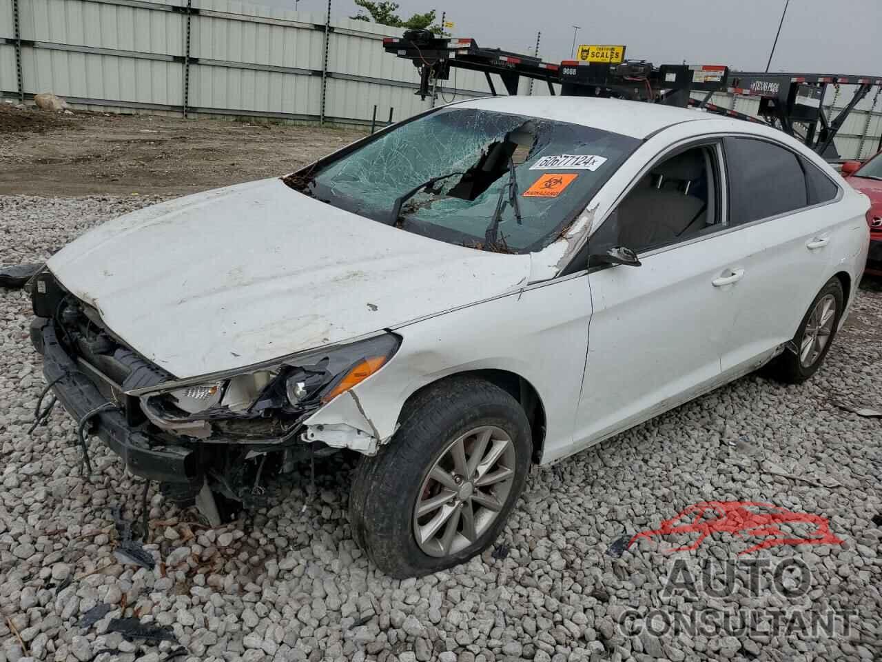 HYUNDAI SONATA 2019 - 5NPE24AF3KH763209