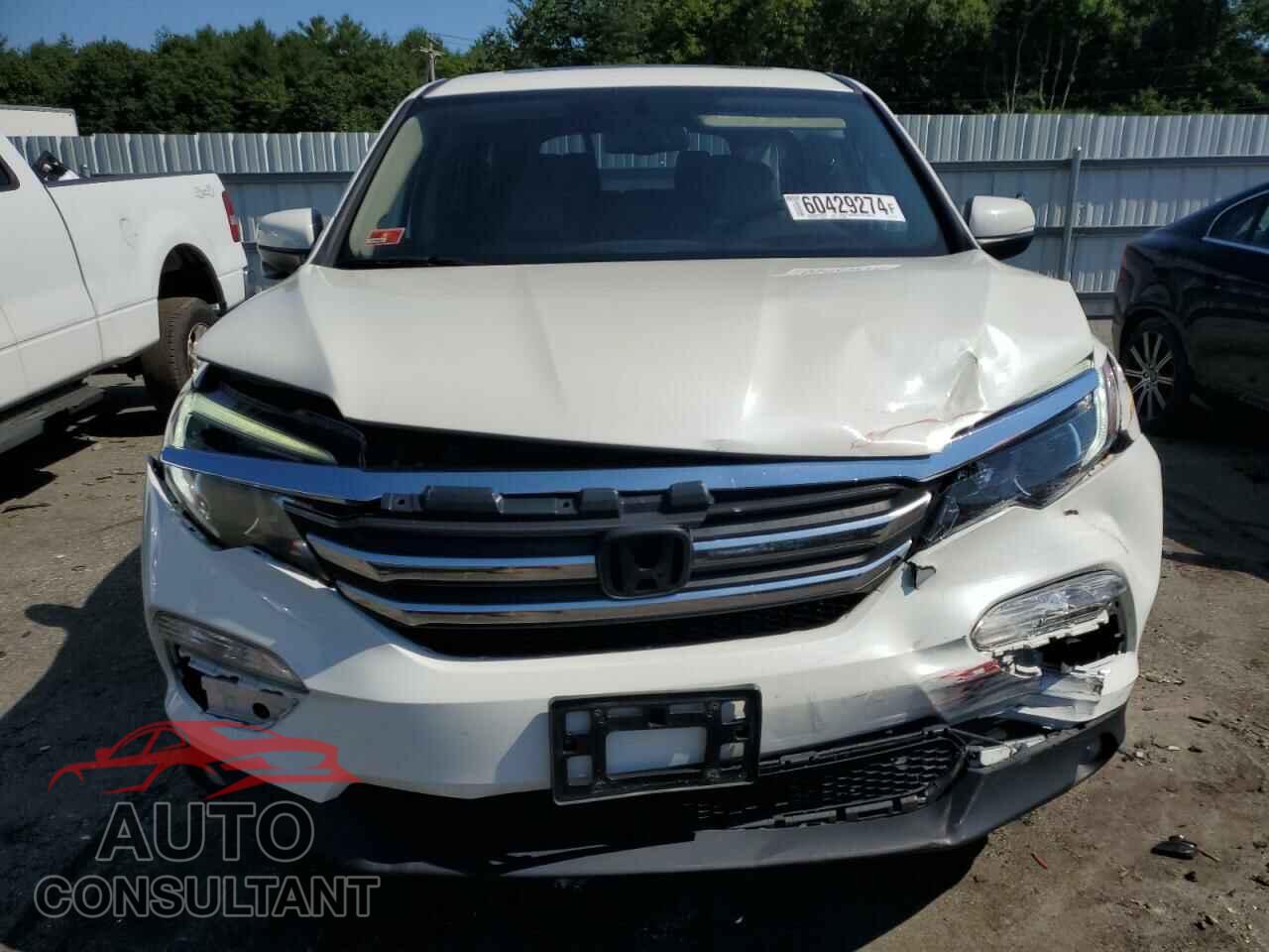 HONDA PILOT 2016 - 5FNYF6H81GB083416