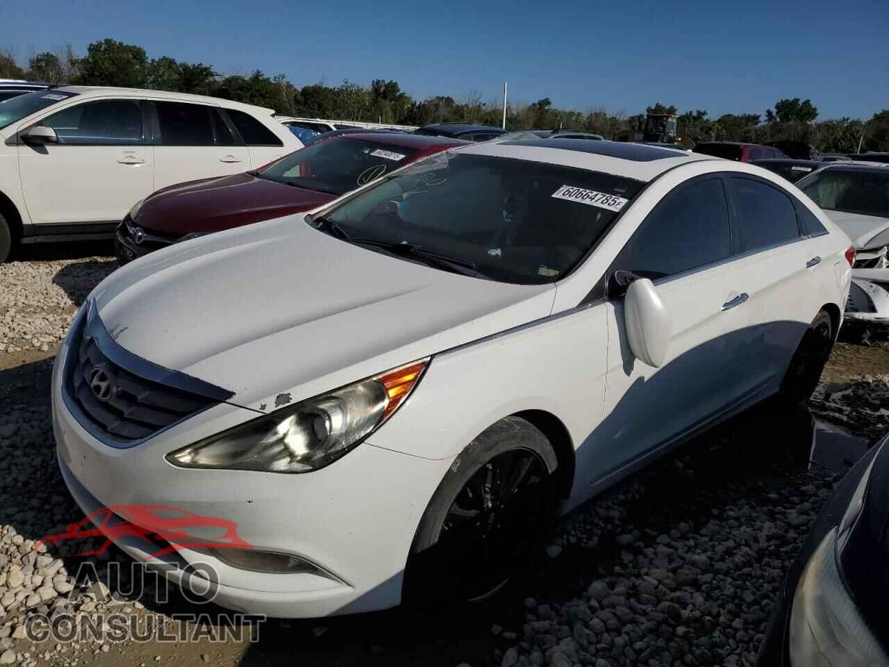 HYUNDAI SONATA 2011 - 5NPEC4AC1BH124829