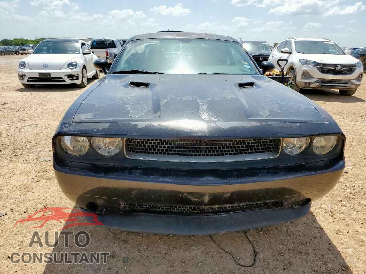 DODGE CHALLENGER 2013 - 2C3CDYAG3DH510649