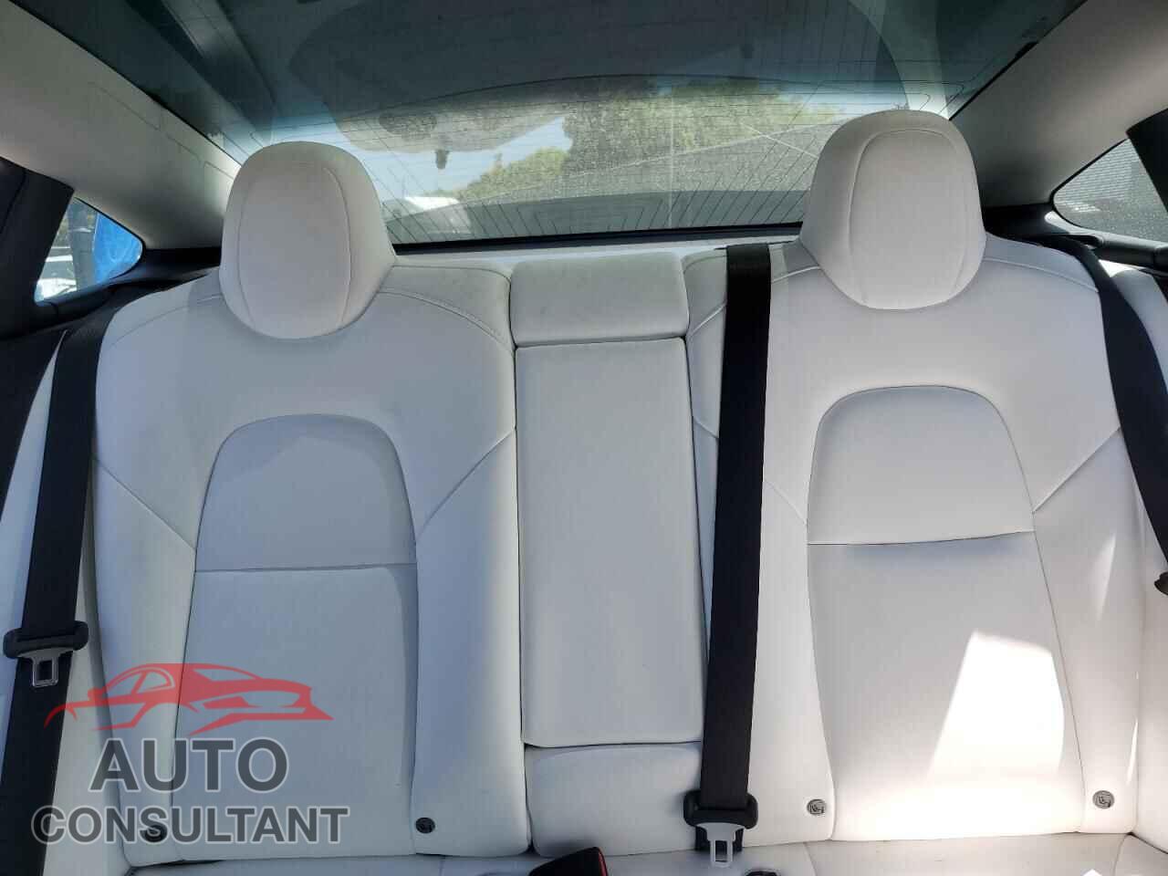 TESLA MODEL 3 2019 - 5YJ3E1EA3KF509302